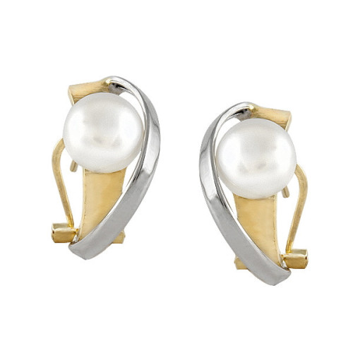 Par Aros de Plata Bicolr Rodinada Perla - 504530