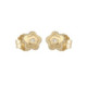 Par Aros de Oro - 539353