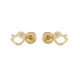 Par Aros de Oro - 542639 0,015PTS
